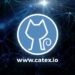 Everything You Need to Know About CATEX Coin