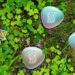 How to Get Mega Energy in Pokémon GO