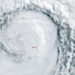 Storm Ravages U.S. Northwest, Leaving Destruction and Fatalities in Its Wake