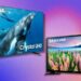 Samsung TVs
