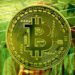 Bitcoin on the Rise: Adoption Outpaces the Internet and Mobile Phones