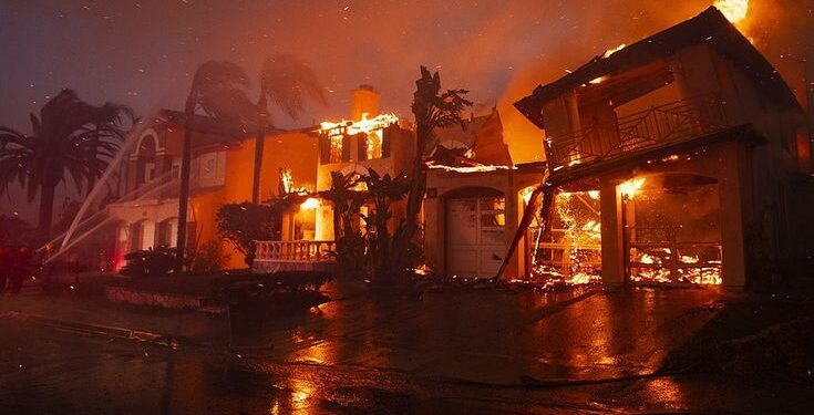 LA wildfire Relief