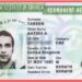 US Companies Shift to Remote Hiring, Avoid H-1B Visas Amid Trump’s Second Term