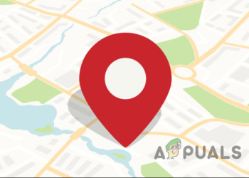 Pin