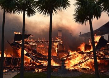 Wild fires