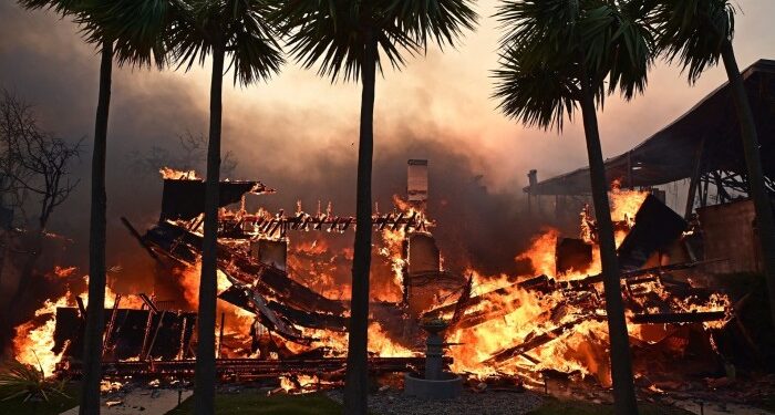 Wild fires
