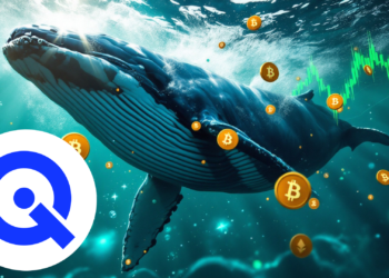 Crypto Whales Are Quietly Accumulating The WLTQ Tokens – Here’s Why You Should Too Before It’s Too Late