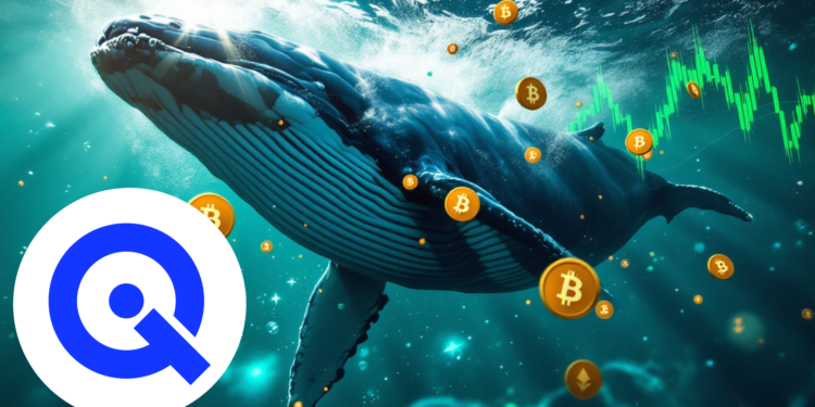 Crypto Whales Are Quietly Accumulating The WLTQ Tokens – Here’s Why You Should Too Before It’s Too Late