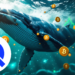Crypto Whales Are Quietly Accumulating The WLTQ Tokens – Here’s Why You Should Too Before It’s Too Late