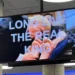 AI-Generated Video of Trump Kissing Musk’s Feet Broadcasted in US Government Office