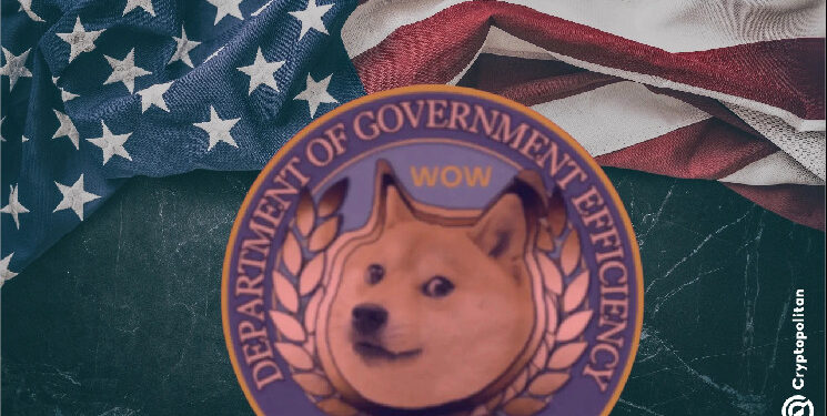 US Lawmaker Blasts Trump’s Meme Coin, Accuses Elon Musk’s DOGE of Gutting Consumer Protections
