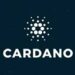 Walmart Partners Cardano (ADA) Cryptocurrency Officially