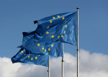 EU FLAG