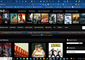 HDHUB4U Latest Bollywood Movie Releases: Top Picks for February 2025