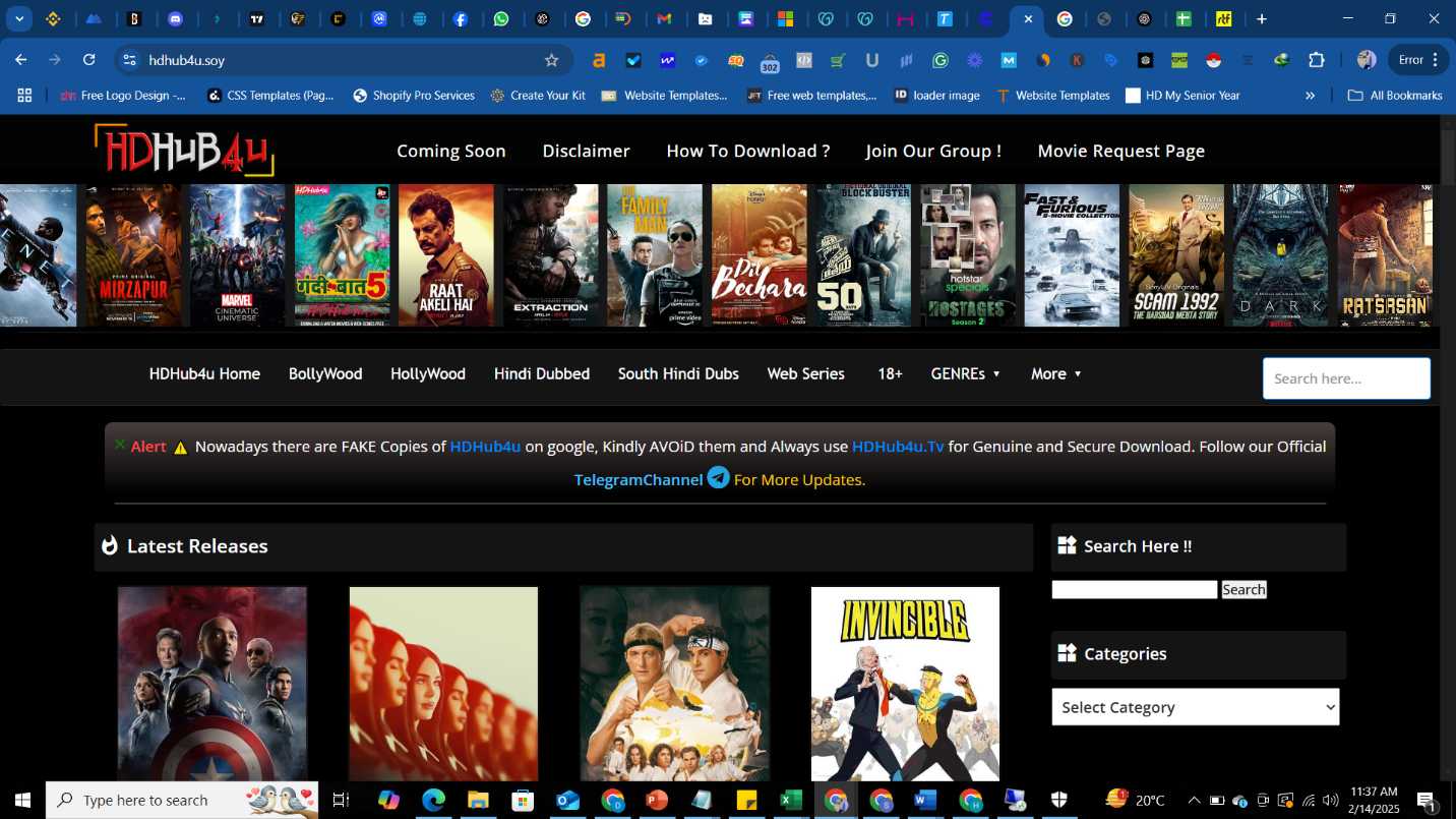 HDHUB4U Latest Bollywood Movie Releases Top Picks For February 2025 