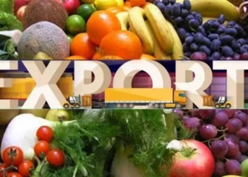 India’s Agri-Exports Boom: 47.3% Rise in 5 Years with APEDA’s Support