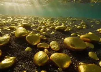 Pakistan Discovers Gold Worth Rs 80,000 Crore in Indus River