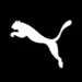Puma Faces Declining U.S. Demand and Shares Plunge