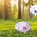 How to Get Cascoon in Pokémon Go