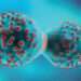 Chinese Researchers Develop Innovative Cancer Treatment Using Transplant Rejection Response