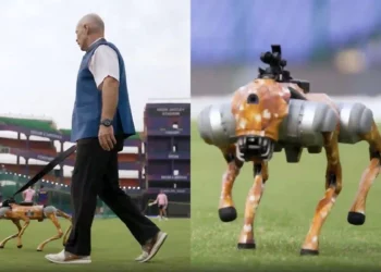 IPL 2025 Goes Futuristic: Meet the Robot Dog Changing the Way We Watch Cricket
