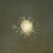 How to Kill a Will-o’-the-Wisp in Oblivion