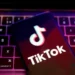 TikTok Owner ByteDance Explores Major Data Center Project in Brazil