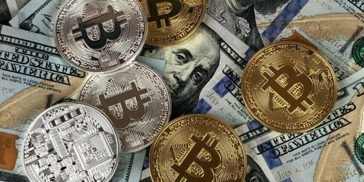 Data Reflects the Future of the Market: Real-Time Bitcoin Price Tracking
