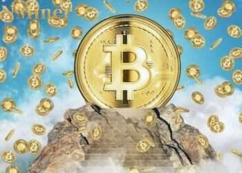 DNMiner: Efficient and Rich Mine Creates a New Paradigm for Cloud Mining, Easily Earn $20,000 and Achieve Financial Freedom Potential