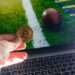 What Are The Best Crypto Betting Sites? Top Platforms for Bitcoin Sports Betting