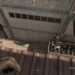 COD