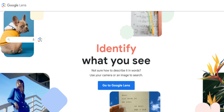 “See It, Search It” Google AI Expands Search to Images