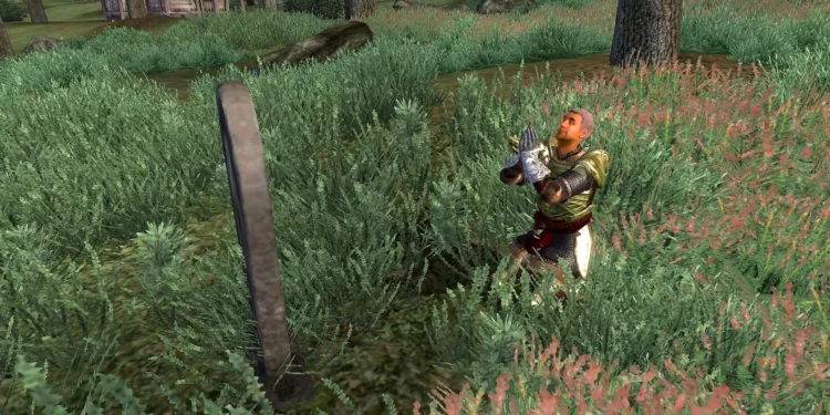 How to Do Molag Bal Quest in Oblivion