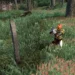 How to Do Molag Bal Quest in Oblivion
