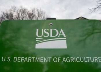 USDA Faces Backlash Over Push for States’ SNAP Data Sharing