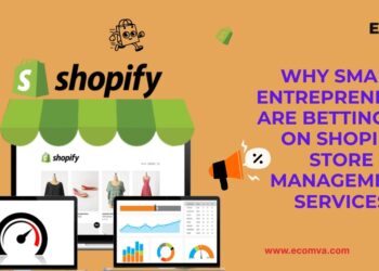 Why Smart Entrepreneurs Are Betting Big on Shopify Store Management Services