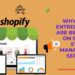 Why Smart Entrepreneurs Are Betting Big on Shopify Store Management Services
