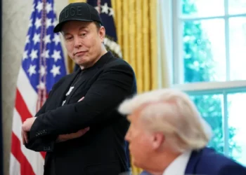 Everything You Need to Know About the Trump–Musk Feud
