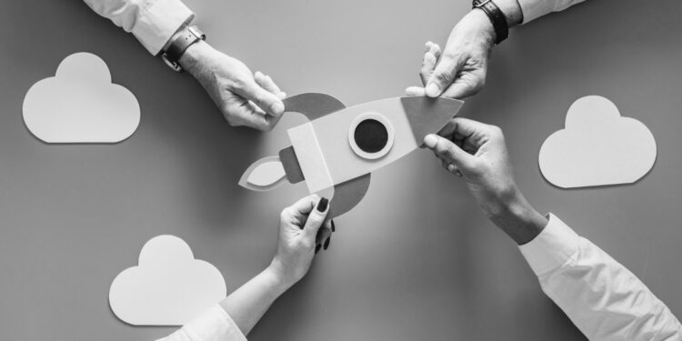 Product Alliances as a Growth Lever