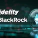 Fidelity