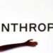 Following Anthropic Win, Meta's Book-Trained AI Deemed Market-Safe by Court