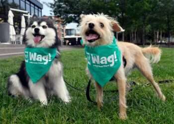 Wag Files for Bankruptcy After Years of Financial Turbulence