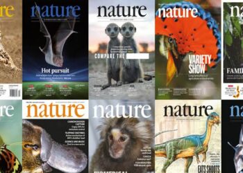Federal Scientists Lose Access to Prestigious Journals as Agencies Cut Ties with Springer Nature