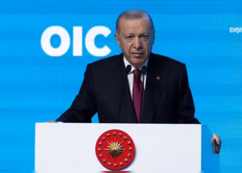 Turkey Bans xAI's Grok Over Offensive Content, Including Insults to President Erdoğan