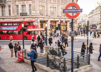 UK Issues 48% Fewer Work Visas and 11% Fewer Student Visas to Indians in 2025