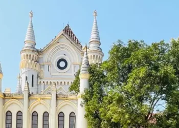 High Court Slams MLA for Misusing Power: CEO’s Suspension a Case of ‘Ego Hurt’, Not Public Grievance