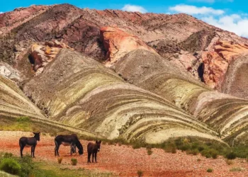 Argentina Announces Visa-Free Entry for Indian Travelers with US Visas