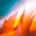 Viral TikTok Movement Predicts Rapture on September 23, Stirring Online Frenzy