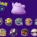 How to Catch Ditto Pokémon Go