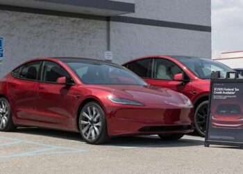 Family Alleges Tesla Oversold Self-Driving Safety